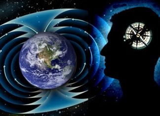 Les Balises de Lumière, Un Rappel de la Maison